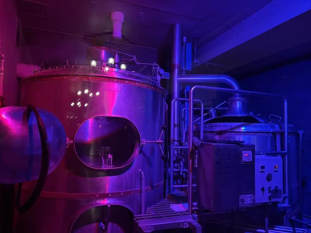 Great Dane team working together on the floor.